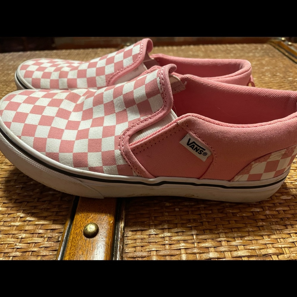 Vans Pink Checkered Skater Sneaker